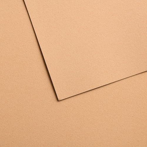 Canson Mi-Teintes Velvet Drawing Paper Sheet, Golden Beige, (260lb/430g), 1 Sheet, 19.69x25.6 inch, 1 Count
