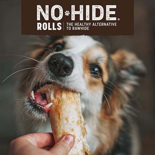 Earth Animal No Hide Small Leckerli mit Wildgeschmack, natürlich, ohne Rohhaut; Langlebige Leckerli für Hunde – Leckerli für Hunde Kleiner Rassen (2 Kausnacks für Hunde)