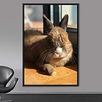 Framed Canvas Wall Art Bunny Animals Bedroom Expressive Multicolor Photography Rabbit Rustic - 16x24 inches