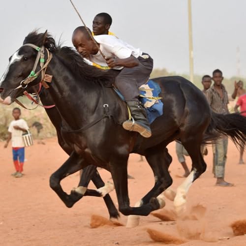 La participation des jeunes au festival Dokin Iska de Filingu&eacute; (Tous &agrave; la Fada)