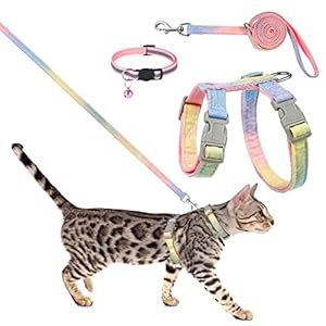 Pinenuts Ensemble harnais et laisse pour chat...