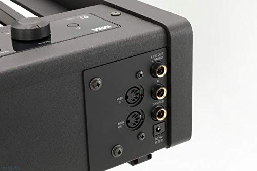 Korg B1SP Digital Piano : Key Feature and In-Depth Review 54 Korg D1 88-Key Stage Piano Controller #4