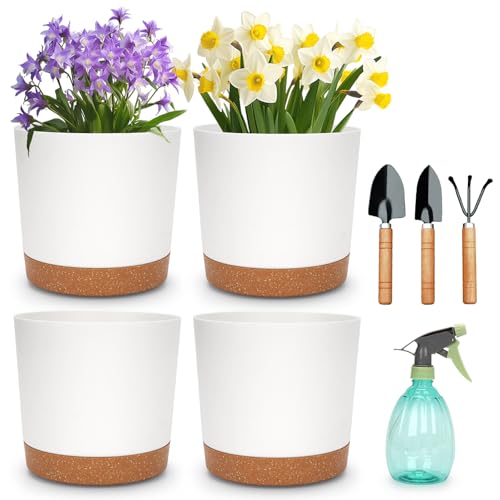 Aromujoy Macetas Para Flores Juego De 4, Maceteros Con Plato Y Agujeros De Drenaje, Maceta Para Plantas Para Decoración De Interiores Exteriores, Ideal Para Plantas De Mediano Tamaño, 20cm, Plástico Aromujoy Macetas Para Flores Juego De 4, Maceteros Con Plato Y Agujeros De Drenaje, Maceta Para Plantas Para Decoración De Interiores Exteriores, Ideal Para Plantas De Mediano Tamaño, 20cm, Plástico