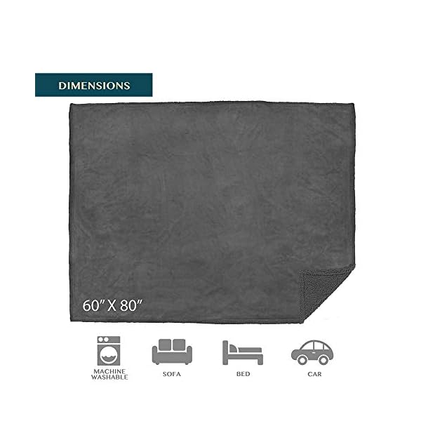 PAVILIA Waterproof Blanket for Couch, Sofa | Waterproof Dog Blanket for Large Dog, Puppy, Cat | Pet Blanket Protector | Plush Soft Warm Fuzzy Sherpa Blanket Bed Throw, Dark Grey, 60×80 PAVILIA Waterproof Blanket for Couch, Sofa | Waterproof Dog Blanket for Large Dog, Puppy, Cat | Pet Blanket Protector | Plush Soft Warm Fuzzy Sherpa Blanket Bed Throw, Dark Grey, 60×80