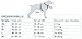 Kurgo Tru-Fit Smart Hundegeschirr, Mit gepolstertem Brustteil und D-Ring, Inklusive Autosicherheitsgurt, Größe M, Schwarz