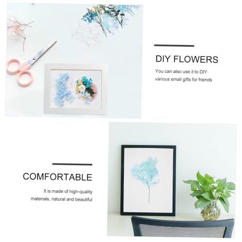 Kit de Flores Secas Prensadas para Manualidades miniatura 6