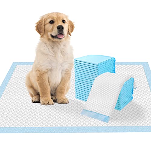 Image of Dog and Puppy Training Pads， Disposable Dog Pee Pads (20, 23.5 inch*35.5 inch(60*90cm))