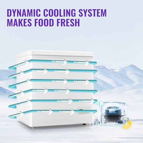 Walk-in freezer cold storage large