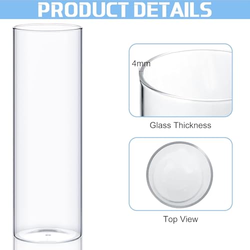 Image of Didaey 72 Pcs Cylinder Vases for 3.4''Diameter Tall Vase, 6'',8'',10'' Tall
