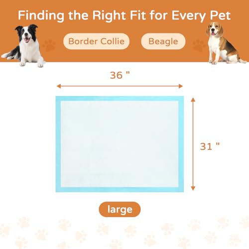 Image of Large Dog Pee Pads 31x36 60 Count 6-Layer Absorbent Puppy Training Pad