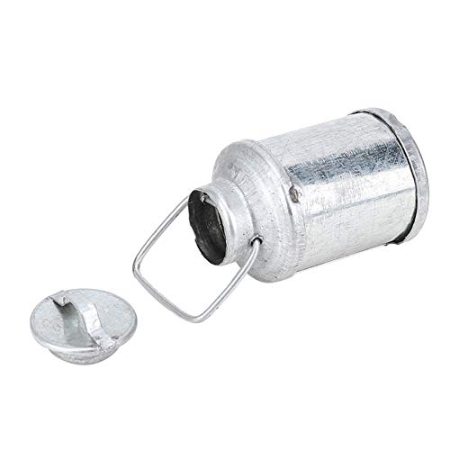 Tnfeeon Ornamento in Miniatura Incantevole Scala