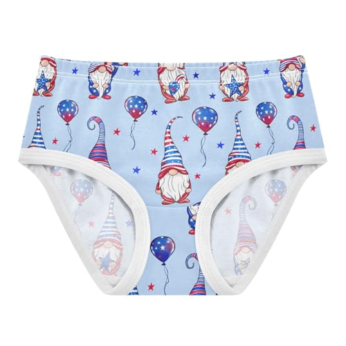 Cute Gnomes Independence Day Toddler Girls's Underwear 2T 202c1802