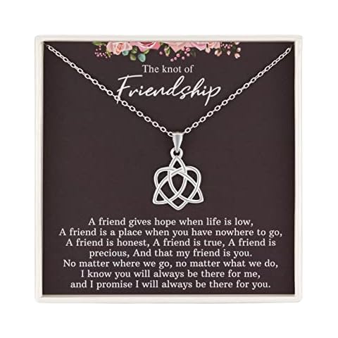 RareLove Friendship Gifts for Women,925 Sterling Silver Sister Celtic Knot Infinity Heart Necklace Jewellery for Best Friend,Bridesmaid Gift,Best Friend Birthday Gifts, for Her Cover