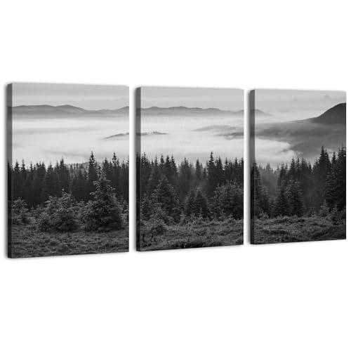 Black and White Smoky Mountain Canvas Wall Art Forest Pictures Wa...
