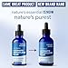 Sweat & Soul Methylene Blue Pharmaceutical Grade 2oz - Made in USA - Balanced Electrolytic 1% Solution - USP Grade, No Formaldehyde, No Alcohol, 3rd Party Tested