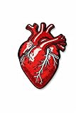 3.5' Anatomical Iron On Patch - Embroidered Anatomical Heart Applique Appliques Iron On Sew On Patches for Holes, Clothing, Jeans, Hat, Backpacks, Clothes - Heart Patch