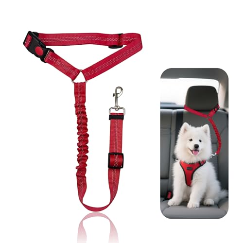 Nevoluxer Ceinture de sécurité| Harnais pour Petits & Moyens | Laisse Chien Voiture réglable (50-65 cm) | Ceinture securite Chien Voiture | réflecteurs...