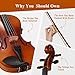 PHOENIX Violin 4/4 Full Size Kit, Violin Fiddle Set for Beginner Adults Student with Rosewood Bow Extra Strings & Bridge (Entry-level, Full)