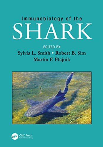 Is a dog fish a shark