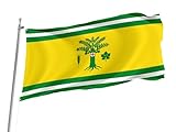 ➤ Alta calidad: La bandera está hecha de tela de poliéster de alta calidad. Ligera y vaporosa, puede ondear incluso con la brisa, puede exhibir su bandera en cualquier lugar.