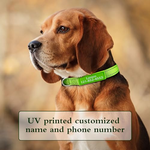 YDL Personalized Dog Collar, Custom ID Collar Reflective Nylon Collar with Pet Name and Phone Number 4 Adjustable Sizes X-Small Small Medium Large Quick Release Buckle and D-Ring - Image 4