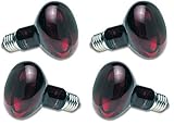 Zoo Med Nocturnal Infrared Incandescent Heat Lamp 100 Watts (4 Pack)