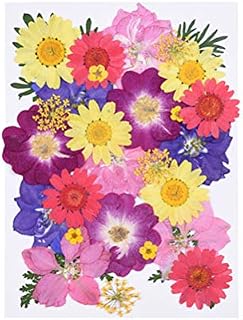 Milisten 30pcs Real Dried Pressed Flowers,Pink Purple Larkspur,Daisy Natural Pressed Flowers for Scrapbooking DIY Candle Resin Jewelry Pendant Crafts Making