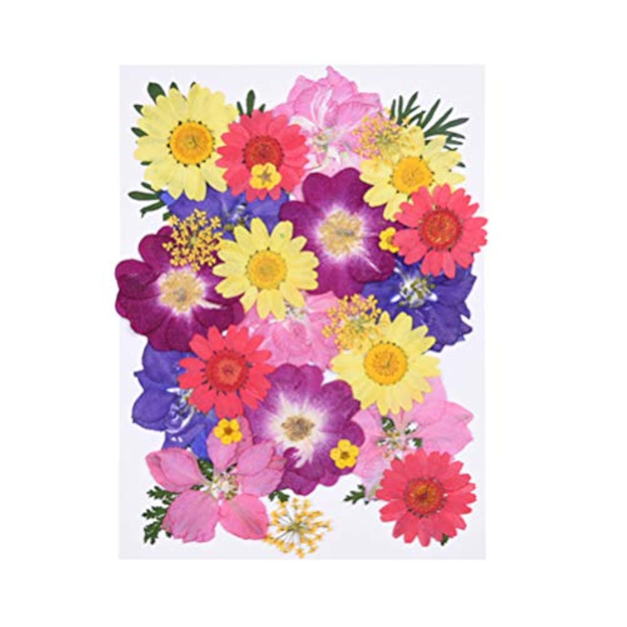 30 Pcs Dried Flowers Charms for DIY Art Crafts Decoration