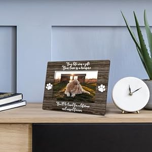 Dog Memorial Picture Frame 8×10 Pet Memorial Picture Frame Pet Memorial Gifts for Dogs Dog Frames for Pictures Memorial Youll Be Loved for a Life Time and Missed Forever Photo Frame 5×7