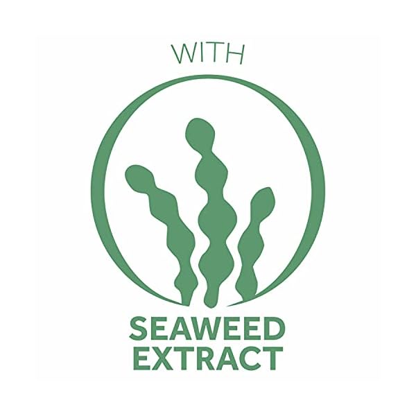 Ponds-Nourishing-Moisturizing-Cream-Crema-S-141-oz POND'S Crema S Nourishing Face Moisturizer for Women, Skin Care Facial Moisturizer Cream for Dry to Very Dry Skin, Nourishes for up to 24 hours 14.1 oz