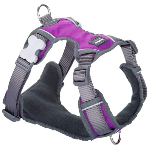 Harnais de qualité Red Dingo violet taille S avec sangles en nylon réglables - 2