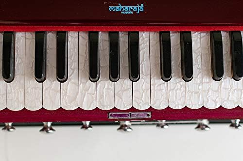 Maharaja Musicals DC Harmonium Musical Instrument thumb #1