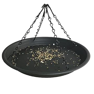 bird seed feeders with tray