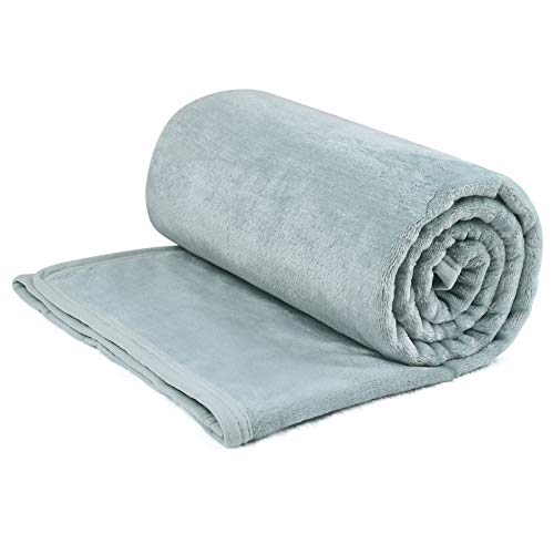 EIUE Comfortable Flannel Fleece Blanket,Ultra Soft Lightweight Portable Travel Blanket for Airplane,Reversible Microfiber Blanket for All Seasons(Grey,40x60)