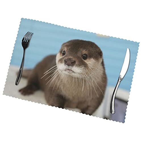 Cute Otter Placemats Set Of 6 For Kitchen Gifts Washable Heat Resistant Table Mat Anti-Slip Place Mats 18X12 Inch #TOP2
