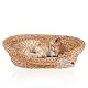 Lycce Katzenbett