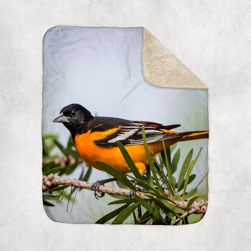 3dRose Baltimore Oriole Male Perched Sherpa Lined Blanket