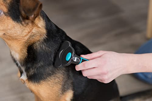 TRIXIE Carding-Striegel zum Entfilzen & Ausdünnen von Kurzhaar und Rauhaar - Striegelkopf wechselbar - Klinge aus rostfreiem Stahl - gummierter Kunststoffgriff - schwarz/blau - 7 x 15 cm - 24171