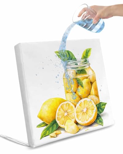 2 Pack Lemon Waterproof Cushion Covers with Ties, Outdoor Patio Chaise Lounge Chair Seat Cushion Slip Covers Replacement(Only Cover) Country Bottle Fruit Yellow Summer Watercolor 20