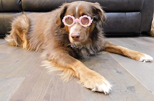 G001 Dog Pet Costume Prop Round Sunglasses Medium Breeds 20-40lbs (Flower Pink-Pink Mirror) - Image 3