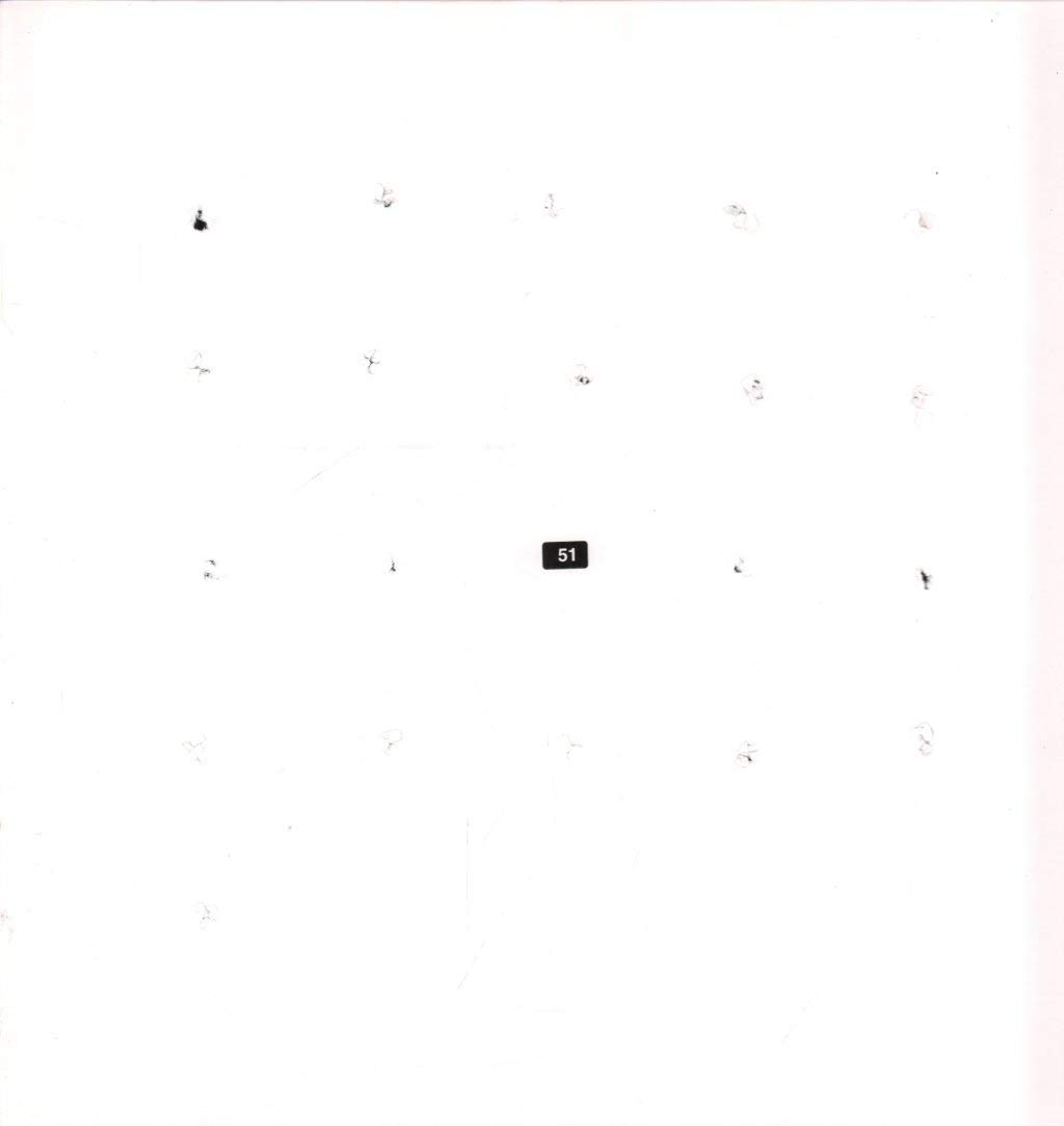 Astral Social Club Split Seri [VINYL]