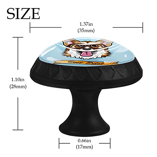 Boutons de tiroir Corgi Pilot 35mm pour rénover une vieille commode