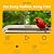 Birds Choice Smart Bird Feeder with Camera | Solar Powered Bird Watching for Outdoors | AI to Identify Bird Species, Capable of Real-Time Streaming | Wireless with Camera, Waterproof Construction
