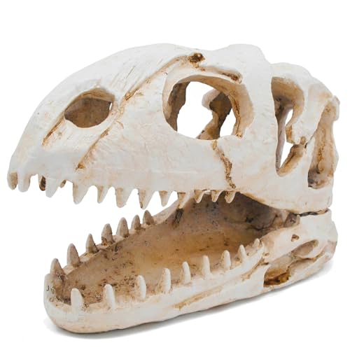 Image of Dinosaur Animal Skull Aquarium Large Decor Cave Decorations Fish Hideout Tank Betta Tarantula Reptile Snake for Terrarium Decor Ornament Bones Halloween