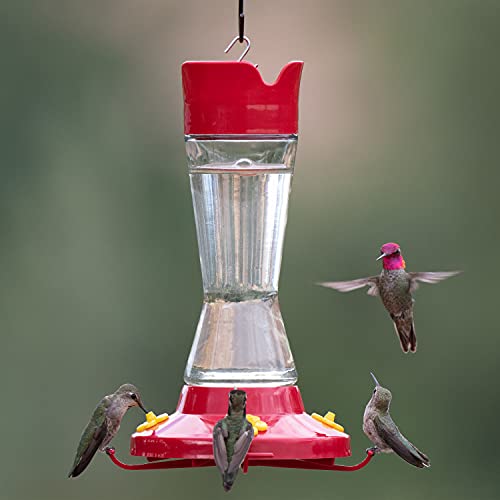 Perky-Pet 210PB Pinch-Waist Glass Hummingbird Feeder with Perches, Built-in Ant Moat and Bee Guards - Outdoor Garden Decor, Unique Gifts by Perky-Pet - Image 2