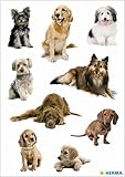 HERMA 3432 Aufkleber Hunde klein groß, 27 Stück, Tiere Sticker mit Labrador Dackel Collie Hunderassen Motiv, Kinder Etiketten für Fotoalbum Tagebuch Poesiealbum Scrapbooking Geburtstag Deko Briefe DIY