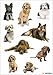 HERMA 3432 Aufkleber Hunde klein groß, 27 Stück, Tiere Sticker mit Labrador Dackel Collie Hunderassen Motiv, Kinder Etiketten für Fotoalbum Tagebuch Poesiealbum Scrapbooking Geburtstag Deko Briefe DIY