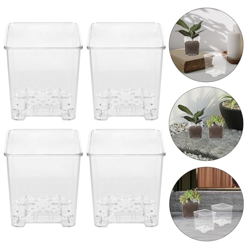 Pots à orchidées transparents avec drainage et aération pour plante