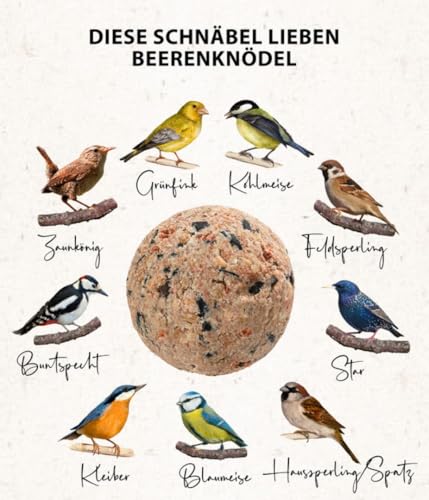 Dehner Natura Premium Meisenknödel ohne Netz, Beerenknödel, ganzjähriges Wildvogelfutter proteinreich / energiereich, im Eimer, 100 Stück je 90 g (9 kg)