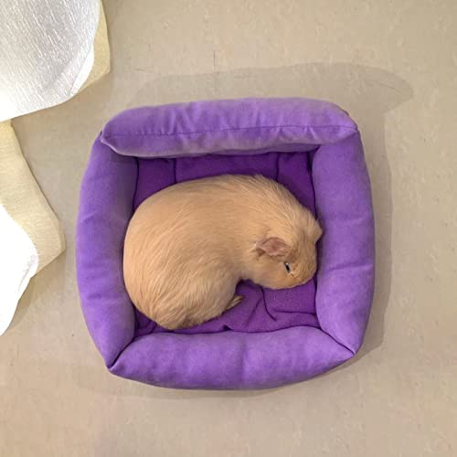 Guinea Pig Beds Mat For Sleep,Small Animal Bed Set For Guinea Pig Ferret Chinchilla Cage Accessories Toys Sleeping Bed Needs Bedding #TOP2